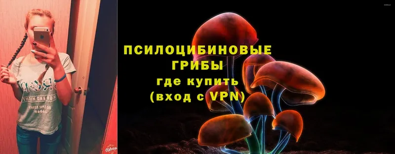 Псилоцибиновые грибы Psilocybe  магазин    Кандалакша 